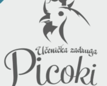 Predstavljamo web stranicu učeničke zadruge “Picoki”!