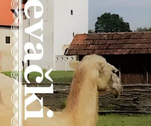 Digital Bookmark Exchange Project