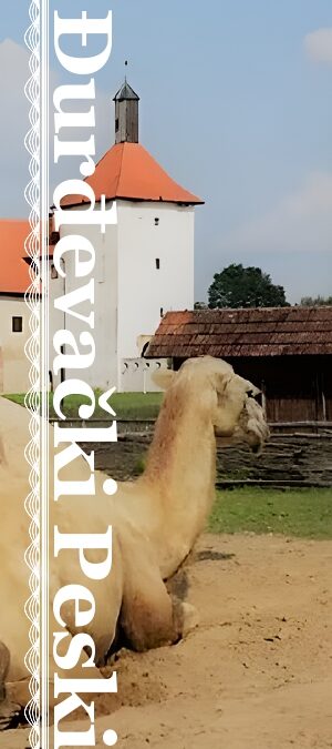 Digital Bookmark Exchange Project