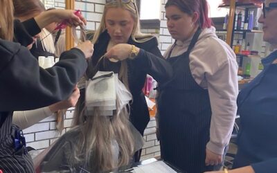 Radionica bojanja, izbjeljivanja i šišanja kose